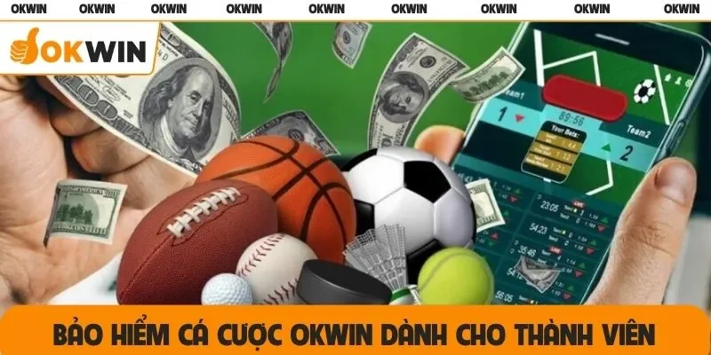 Bảo hiểm cá cược OKWIN dành cho thành viên