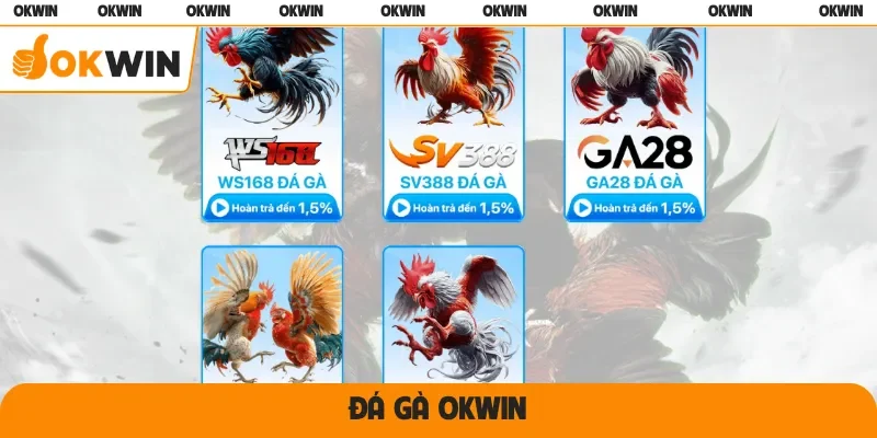 đá gà okwin