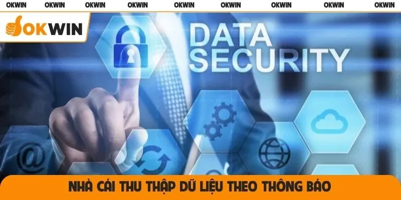 Nhà cái thu thập dữ liệu theo thông báo
